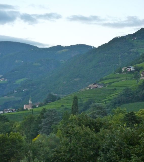 Vineyards outside of Bolzano - cycling and wine holidays italy
